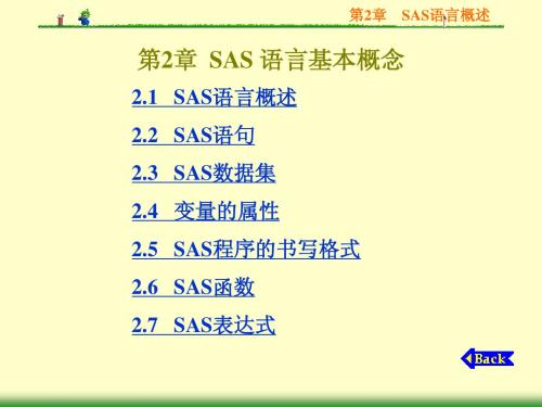 第2章  sas语言基本概念