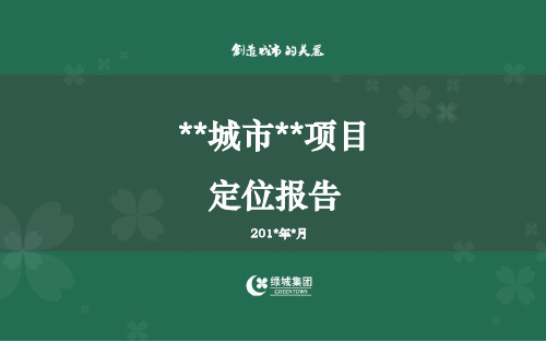 新项目定位报告模板