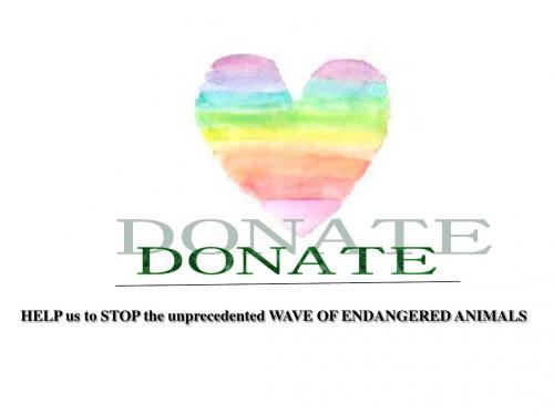 Donate & Endangered animals