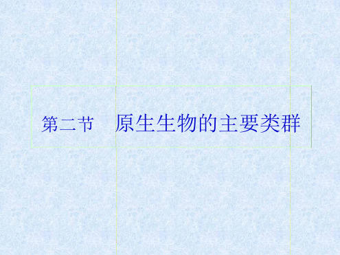 八年级下册生物课件 7222原生生物的主要类群课件4北师大版