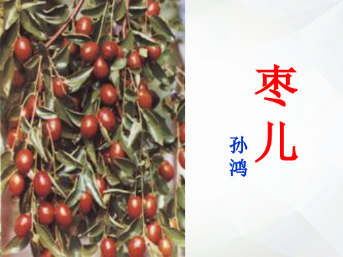 九年级《枣儿》ppt课件