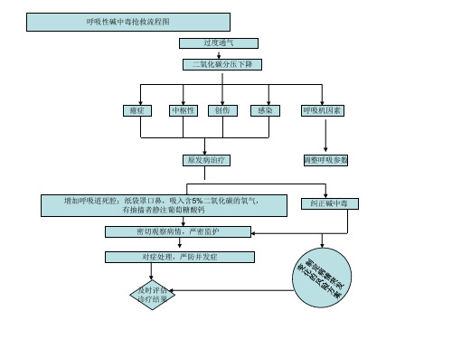 抢救流程图dps