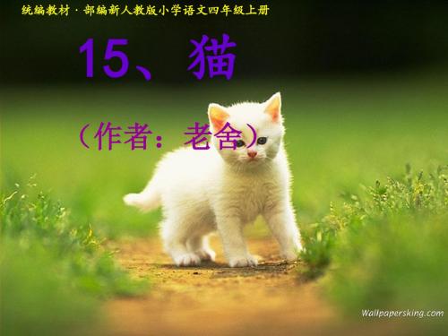 老舍《猫》ppt课件(统编教材·部编新人教版小学语文四年级上册)