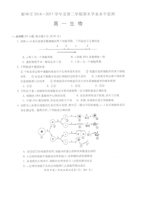 安徽省蚌埠市高一数学下学期期末考试试题(扫描版)