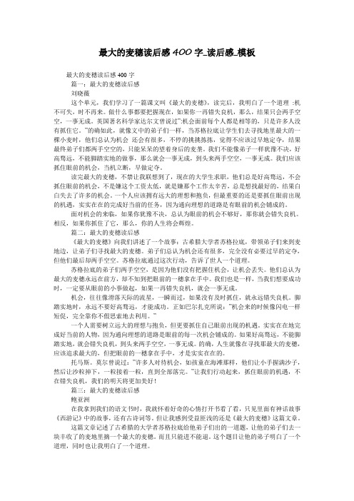 最大的麦穗读后感400字_读后感_模板