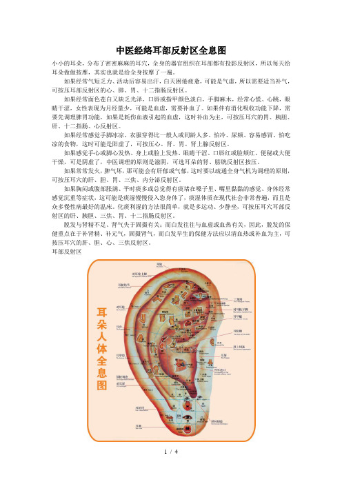 中医经络耳部反射区全息图