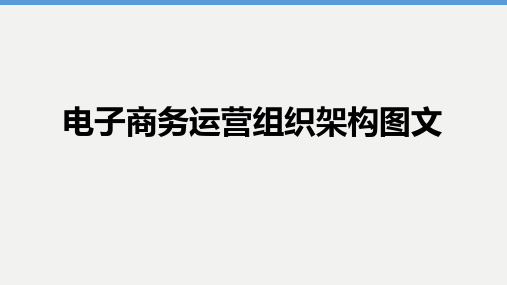 电子商务运营组织架构