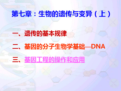 普通生物学：第7章 生物的遗传与变异[上]