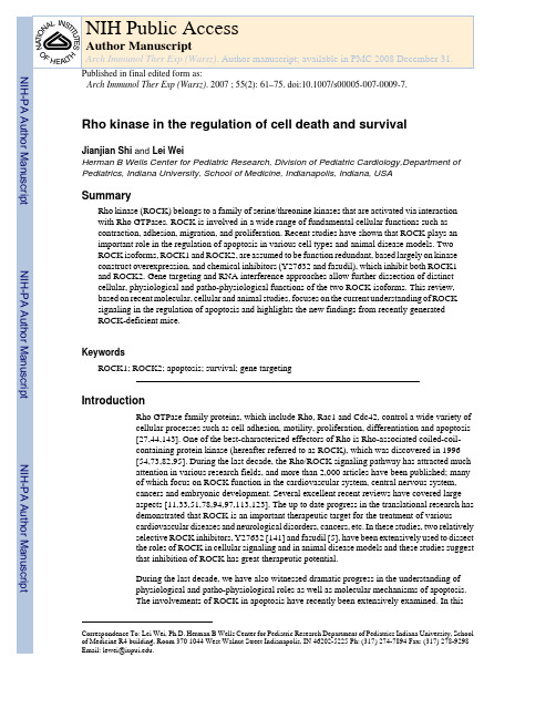 Rho kinase in the regulation of cell death and survival