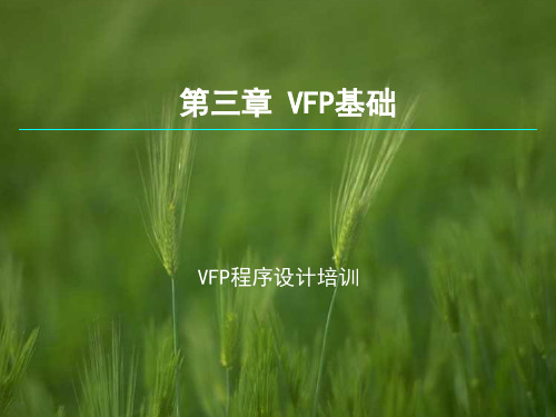 第三章VFP基础