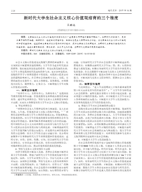 新时代大学生社会主义核心价值观培育的三个维度