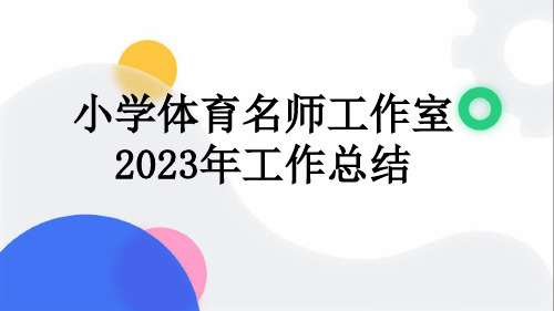 小学体育名师工作室2023年工作总结