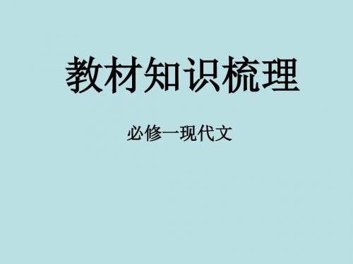 教材知识梳理:必修一现代文PPT 人教课标版