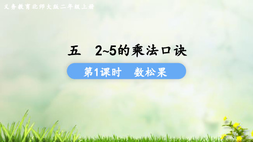 (2023秋)北师大版二年级数学上册《数松果》PPT课件