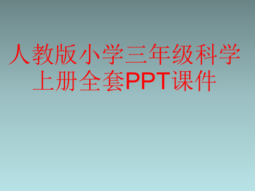 人教版小学三年级科学上册全套PPT课件