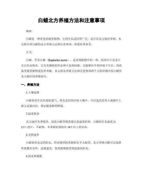 白蜡北方养殖方法和注意事项