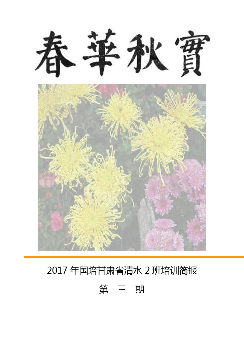 2017年国培甘肃省清水2班培训简报