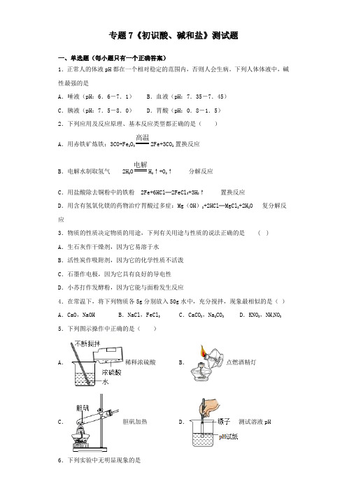 仁爱版化学九年级下册专题7《初识酸、碱和盐》测试试题(含答案)