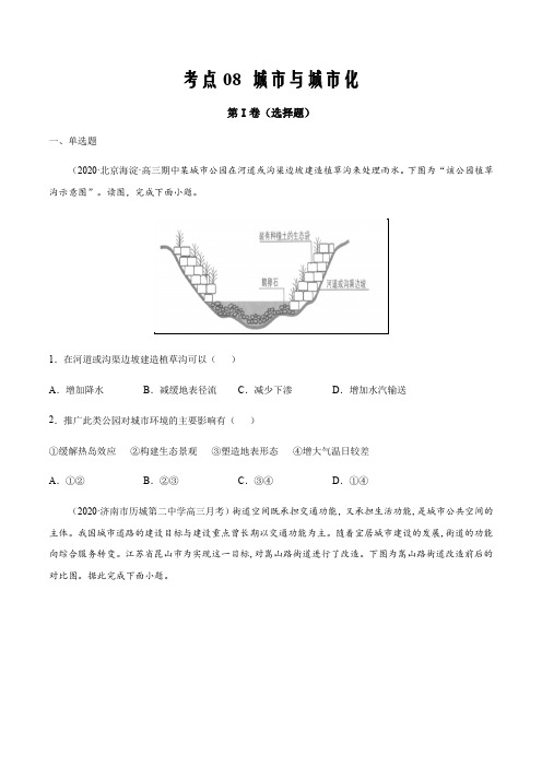 2021届高三新高考试题地理11月刊考点08   城市与城市化(原卷版)