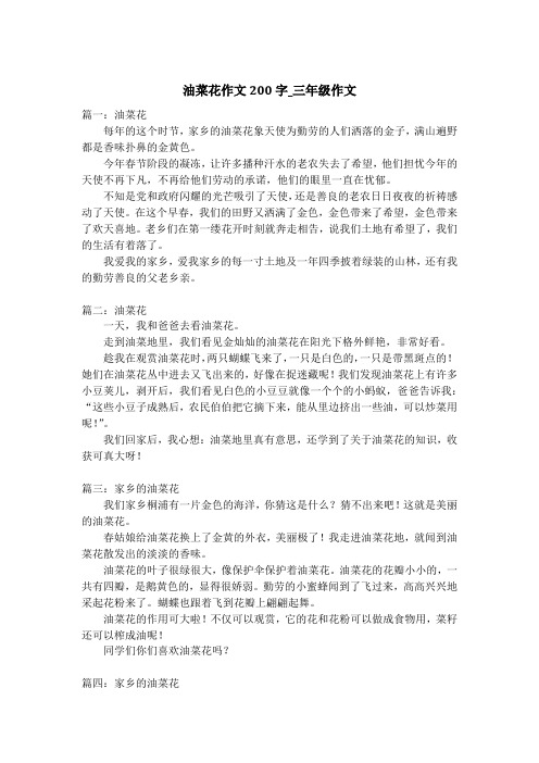 油菜花作文200字_三年级作文