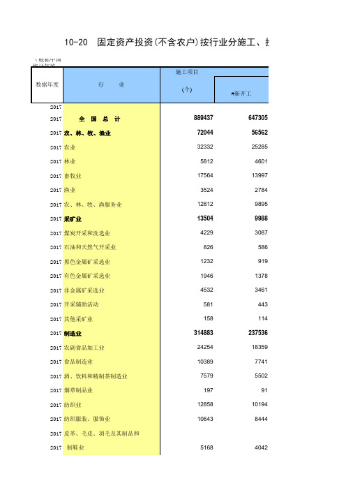 10-20 固定资产投资(不含农户)按行业分施工、投产项目个数(与各行业指标,2005-2017多年数据分析对比)