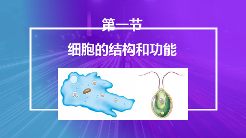 1.2.1细胞的结构和功能课件-济南版生物七年级上册【01】