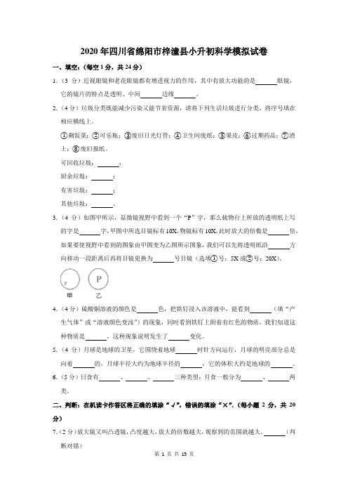 2020年四川省绵阳市梓潼县小升初科学模拟试卷及答案解析