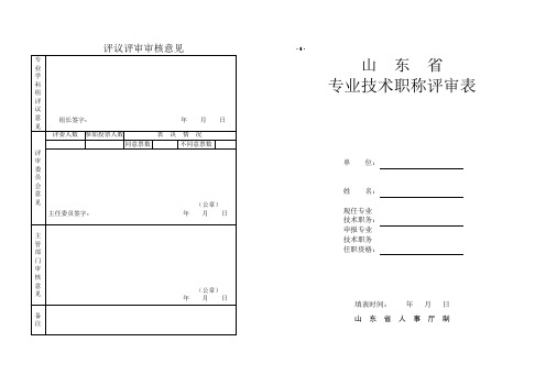 评议评审审核意见