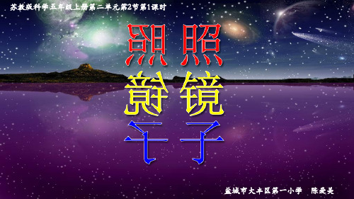 五年级上册科学课件-2.2照镜子｜苏教版(共17张PPT)