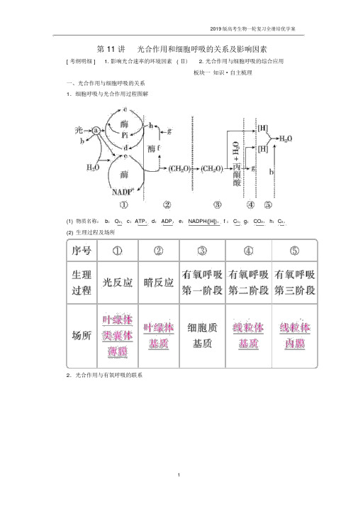 2019届高考生物一轮复习第11讲光合作用和细胞呼吸的关系及影响因素培优学案.docx