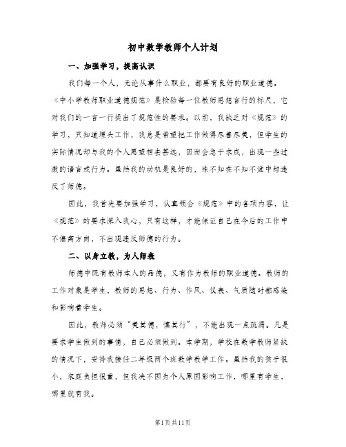 2024年初中数学教师个人计划（五篇）