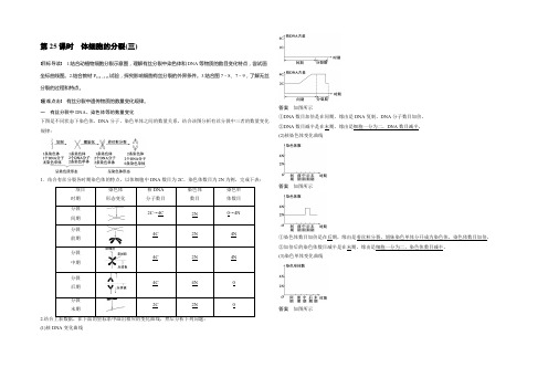 2022生物北师大版必修1习题：第7章 第25课时 体细胞的分裂(三) 