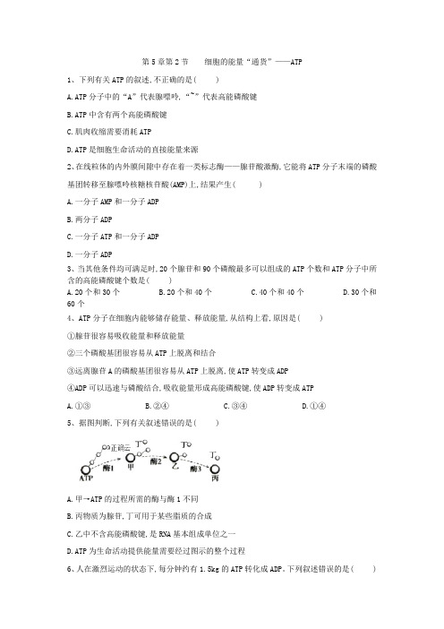 2019-2020学年高中生物人教版必修一课时练：第5章 第2节 细胞的能量“通货”——ATP Word版含答案