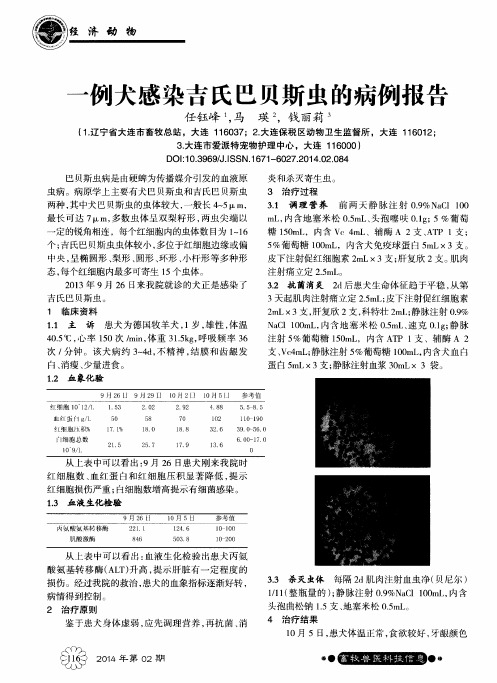 一例犬感染吉氏巴贝斯虫的病例报告