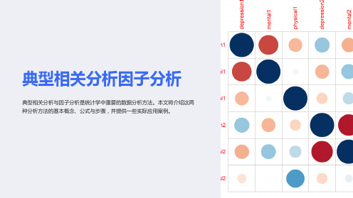 典型相关分析因子分析