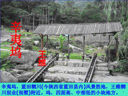 辛夷坞
