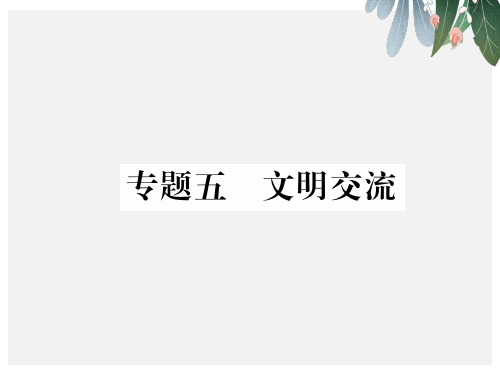 中考历史总复习第二编热点专题突破专题5文明交流课件【优质ppt版本】