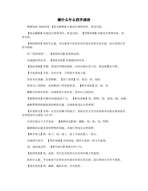 续什么什么四字成语
