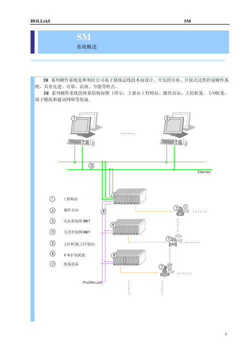 SM系列硬件系统概述