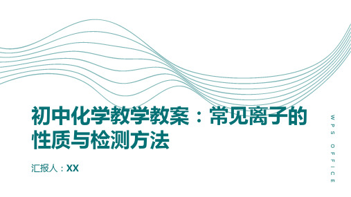 初中化学教学教案：常见离子的性质与检测方法