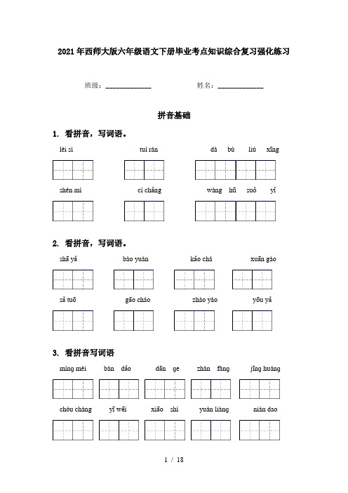 2021年西师大版六年级语文下册毕业考点知识综合复习强化练习