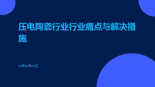 压电陶瓷行业行业痛点与解决措施ppt