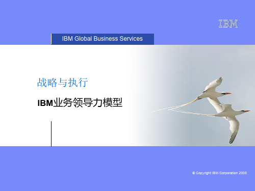 BLM模型(IBM)