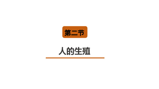 第二节人的生殖课件人教版生物七年级下册