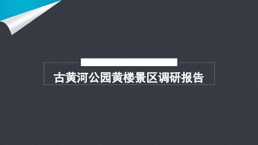 古黄河公园景区调研报告