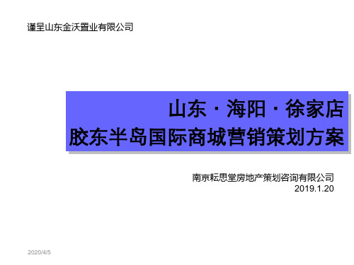 2019山东·海阳·徐家店胶东半岛国际商城营销策划方案79P