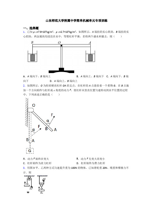 山东师范大学附属中学简单机械单元专项训练