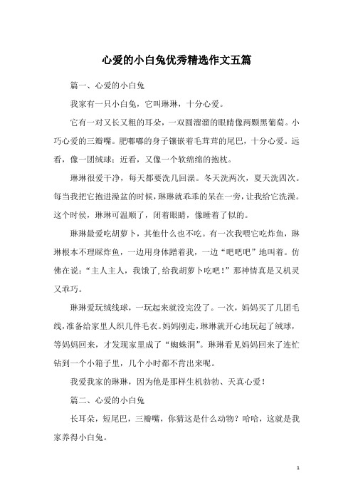 心爱的小白兔优秀精选作文五篇