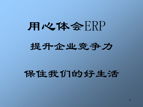 ERP实施成功的关键因素.pptx