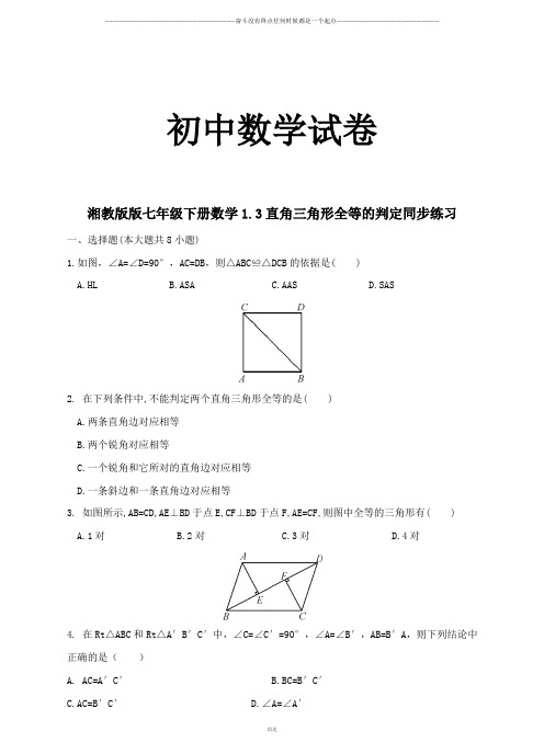 湘教版数学八年级下册1.3直角三角形全等的判定同步练习 (2)